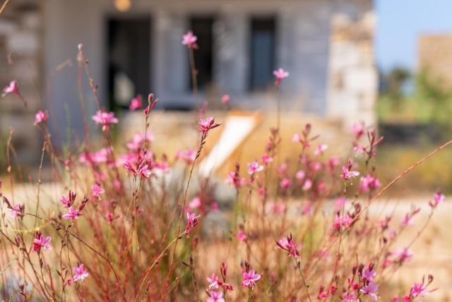 Beach House Antiparos Екстериор снимка